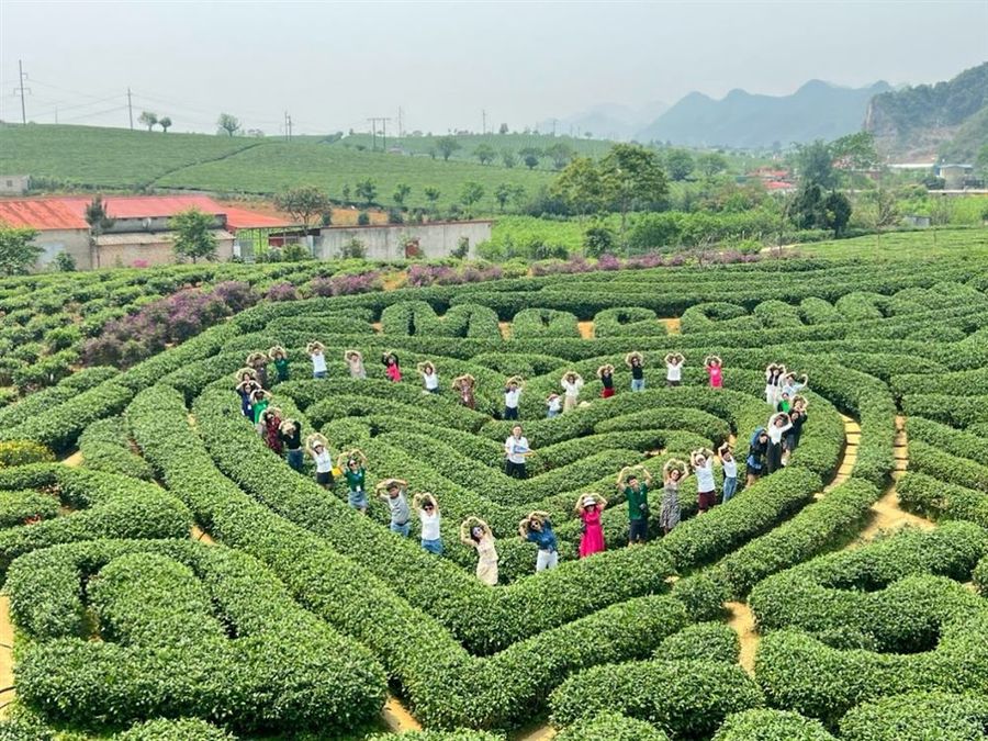 Trải nghiệm của Lê Tiến Bình